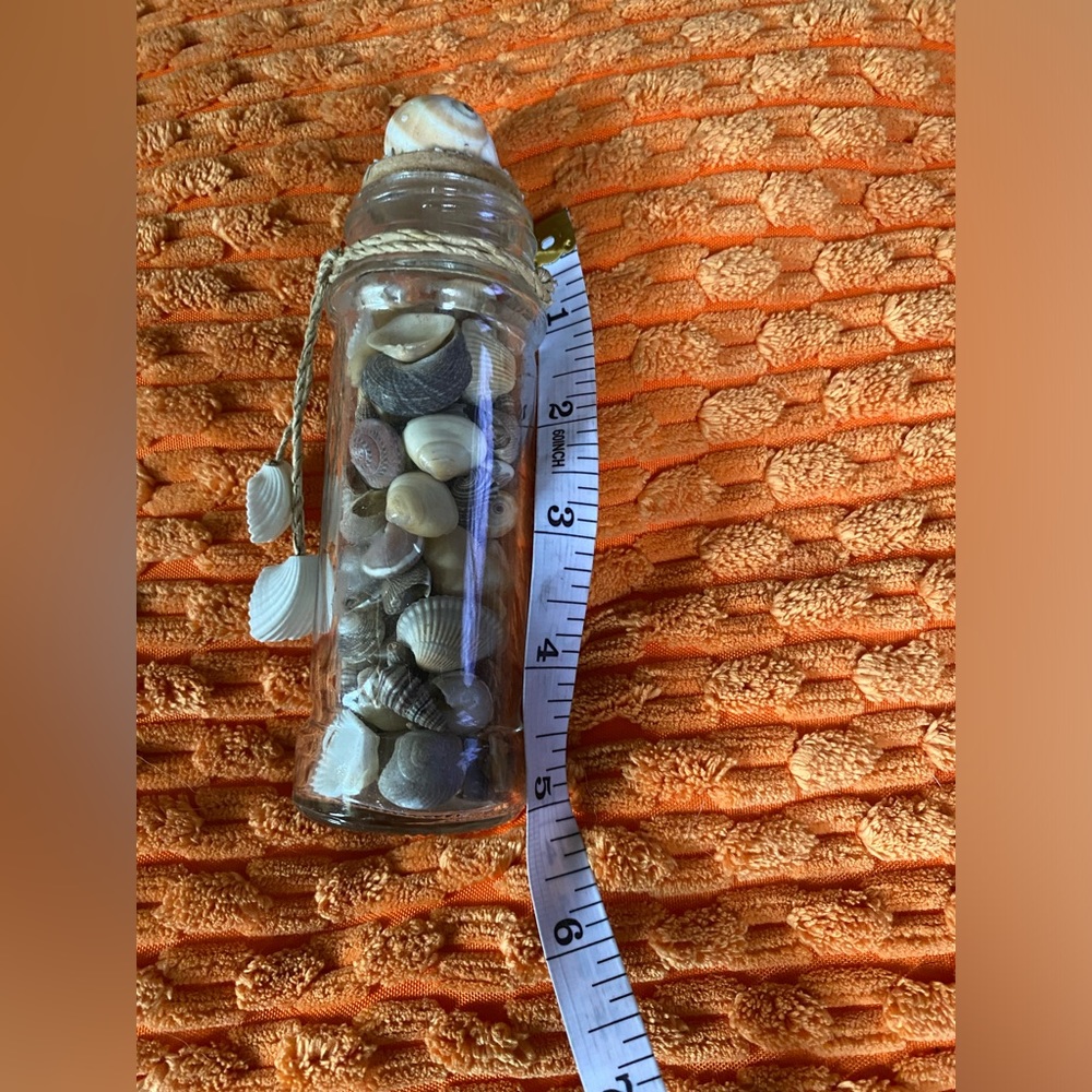Sea shell decor - Picture 4 of 4